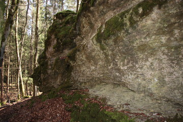 bemooste Felsen im Oberfr&auml;nkiscchen Wald