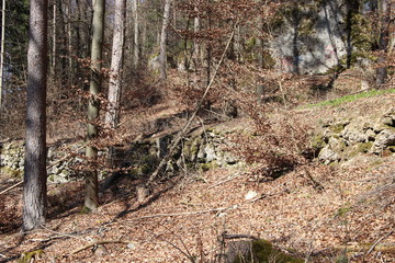 bemooste Felsen im Oberfränkiscchen Wald