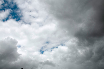 Clouds in a blue sky