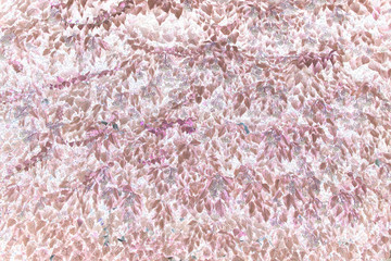texture for design