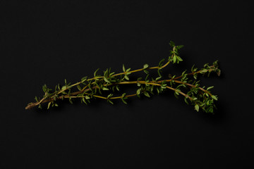 Thyme thems on a black background. minimalistic, modern