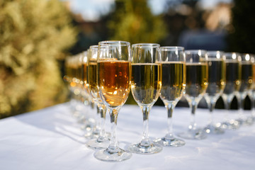 Glasses of champagne and sparkling wine served at charity event, alcoholic drinks close-up