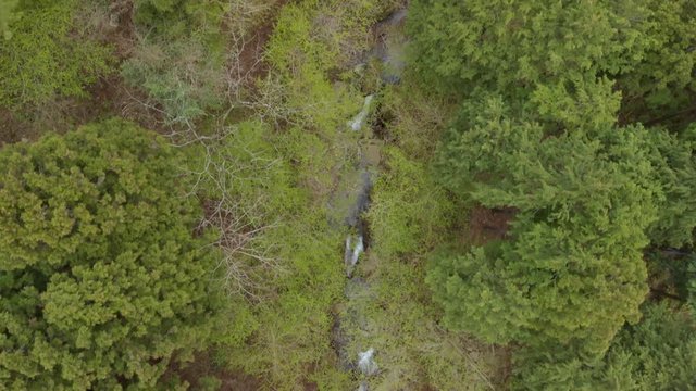 山の中を流れる沢