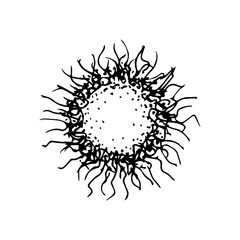 Hand-drawn ink vector drawing. Virus molecule, bacteria under the microscope, infectious disease. Medicine, virology, vaccine, labor