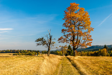 Autumn in Poland - colorful fields and trees in Stoowe Mountains in Lower Silesia - Dolny Slask Region in Karlow, Poland