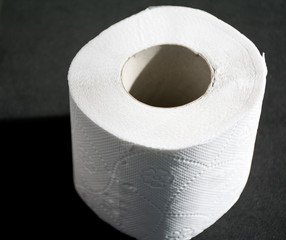 roll of toilet paper