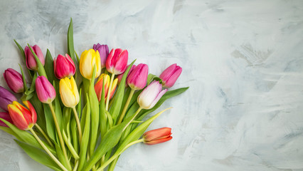 Spring tulips bouquet