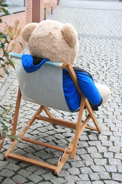 Teddybaer sonnt sich