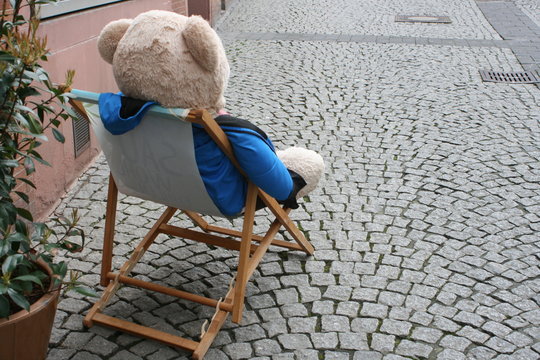 Teddybaer sonnt sich