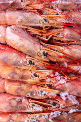 Amazing fresh large frozen shrimps. Pink fresh uncooked shrimps. Close-up. Delivery of frozen seafood to stores in package with hoarfrost. Delicacies, sea food concept. Top view.