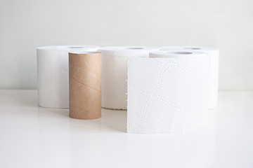 Rolls of toilet paper and empty toilet rolls