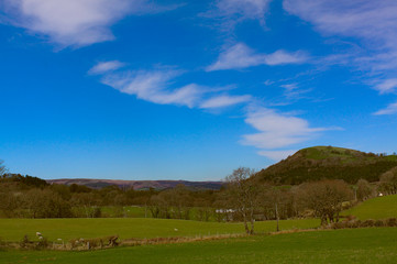 landscape with green field, blue sky, and hills