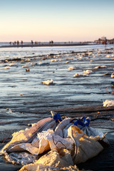 Many plastic waste is dumped on the beach.