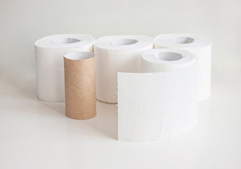 Rolls of toilet paper and empty toilet rolls