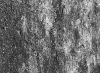 Background wallpaper, texture gray concrete granite