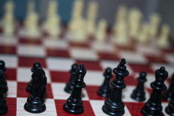 chess on the chessboard photo