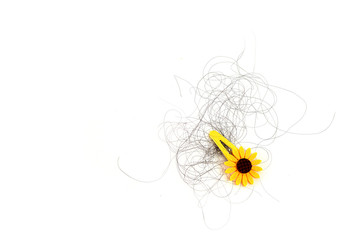 Yellow sunflower hair clip with hair loss, hair loss every day, serious problems and hair loss on a white background.