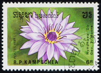 CAMBODIA - CIRCA 1989: stamp 6 Cambodian riel printed by Kingdom of Cambodia, shows flowering plant...