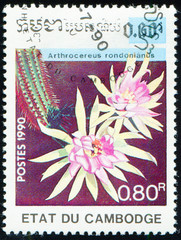 CAMBODIA - CIRCA 1990: stamp 0.80 Cambodian riel printed by Kingdom of Cambodia, shows flowering...