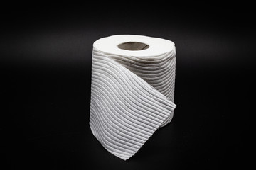 Full toilet paper roll