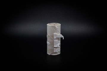 empty toilet paper roll