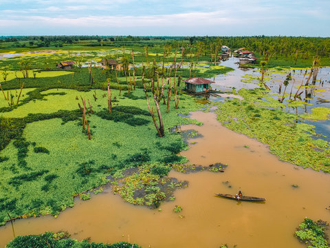 Agusan Marsh