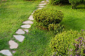 Stone path in garden among green lawn. Grass growing up between and around stones.