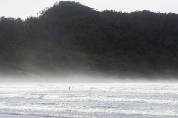 fog on the river