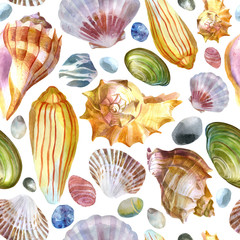 Watercolor illustration. Pattern of sea shells and sea stones on a white background. Summer theme, beach and relaxation.