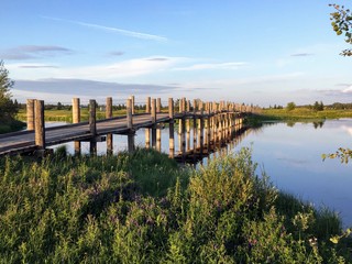 An old small long wooden foot bridge  cross over a beautiful marshy pond on a beautiful summer evening in Edmonton, Alberta, Canada