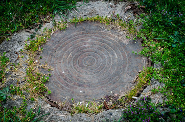 stone in the garden