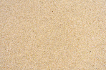 Fototapeta na wymiar Sand texture on the beach. Crushed shells