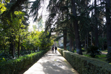 Jardin de Séville