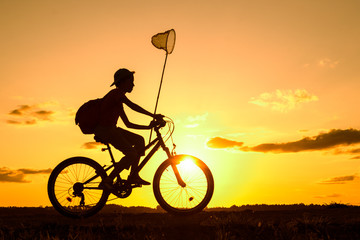 Obraz premium Boy returning from a trip in the eveningwith butterfly net and rucksack, silhouette of child riding bicycle in nature 