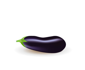 Violet eggplant vegetable. vector illustration