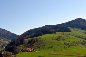 Obraz premium Schwarzwaldlandschaft im Glottertal