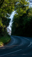 Obraz premium winding road