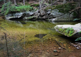 stream in forest