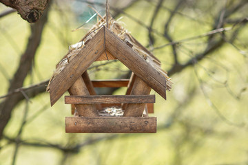 homemade wooden bird feeder and squirrels in the form of a house hanging on a tree. winter care for animals and birds
