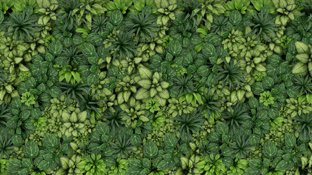 Green leaves foliage jungle tropical plant bush nature backdrop © muratefe