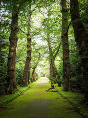 Camino rodeado de arboles gigantes en la Isla de San Miguel en Azores con una joven sentada en un...