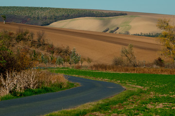 Fototapeta na wymiar Road running through beautiful Moravian fields at autumn time