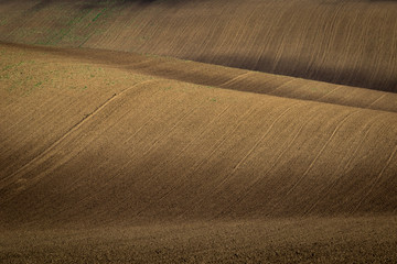 Fototapeta premium Beautiful harsh landscape of plowed Moravian fields in the autumn season