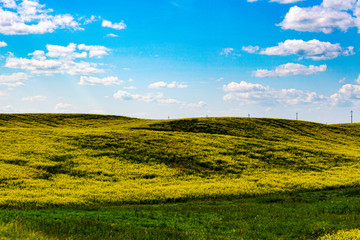 Fototapeta premium Transcanada hwy scenery