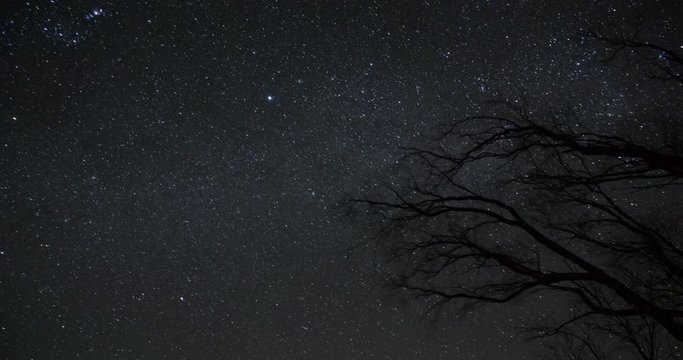Night Timelapse with stars and tree