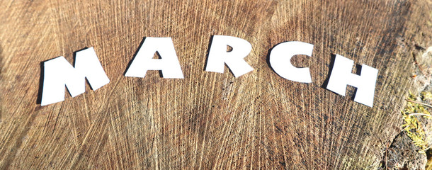 The word MARCH in paper letters on a background of wood stump. Banner.