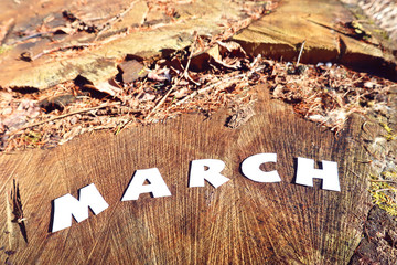 The word MARCH in paper letters on a background of wood stump.