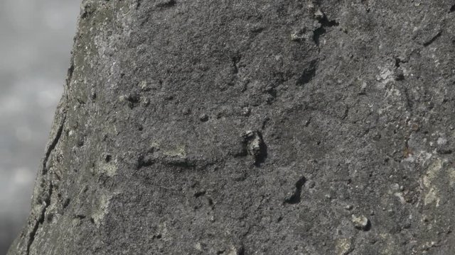 渓流クローズアップ