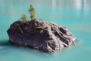 a island with rock and mountain pine in a glacier lake with turquoise water