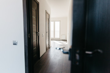 bright new unfurnished apartment with clean interior